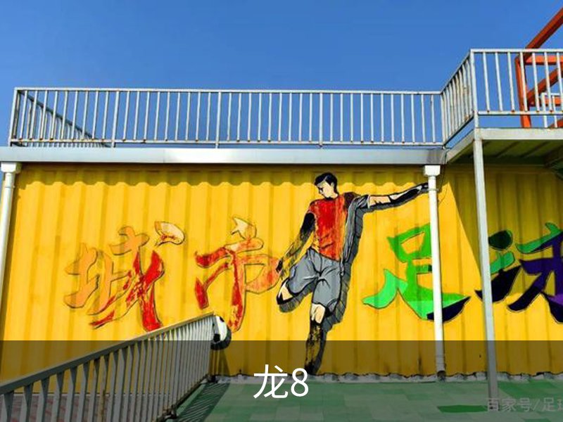 了解龙8